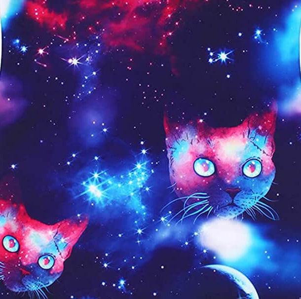 Space Cat Gymnastics Unitard Biketard
